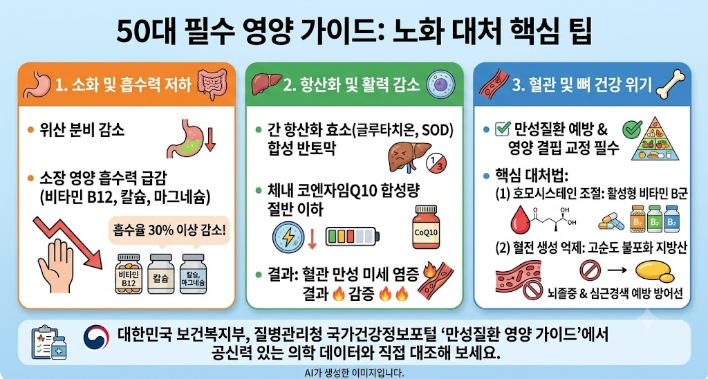 50대 필수 영양제 추천
